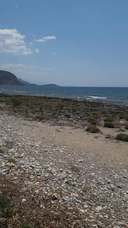 Παραθαλάσσιο Studio Agios Nikolaos  Esterno foto